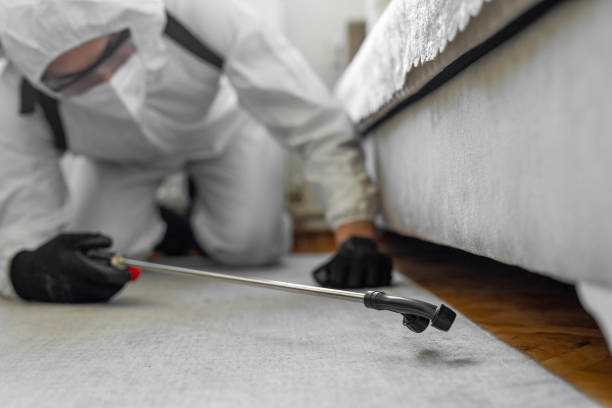 Professional Pest Control technician working in Cass County County, TX